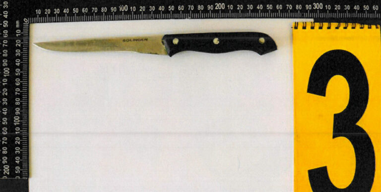 Vasvillával és késsel támadta meg haragosa édesanyját Esztergomban