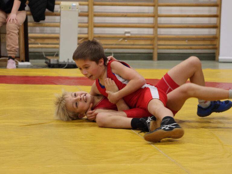 Tokodon versenyeztek a DAC legkisebb birkózói