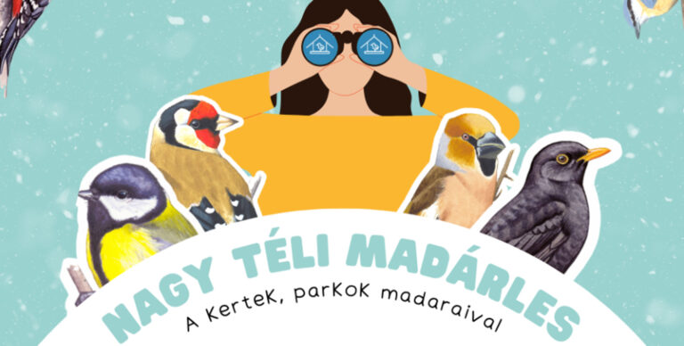 Lakossági madárszámlálási akciót szervez az MME