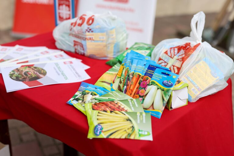 29 millió forint értékben 4354 család kap vetőmagcsomagot a Zöldellő kertek programban