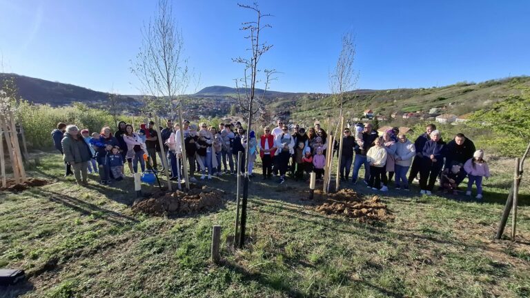 Új életet ültettek: 20 fát kapott a Gyermekliget Csolnokon