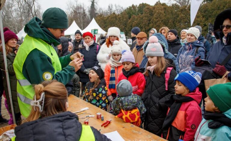 Több ezer megmentett állat, rekordok és közösségépítés – ilyen volt 2025 a vármegye madarászainál