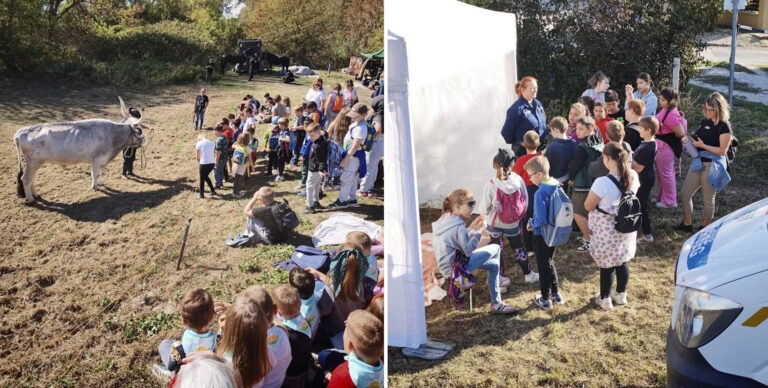 Több mint ötszáz gyermek vett részt az állatok világnapi rendezvényen az esztergomi gátőrháznál